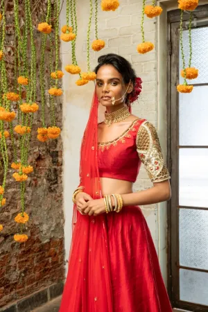 Red Silk Blouse with Cutwork N Red Silk Lehenga  Elegant Culture Wear